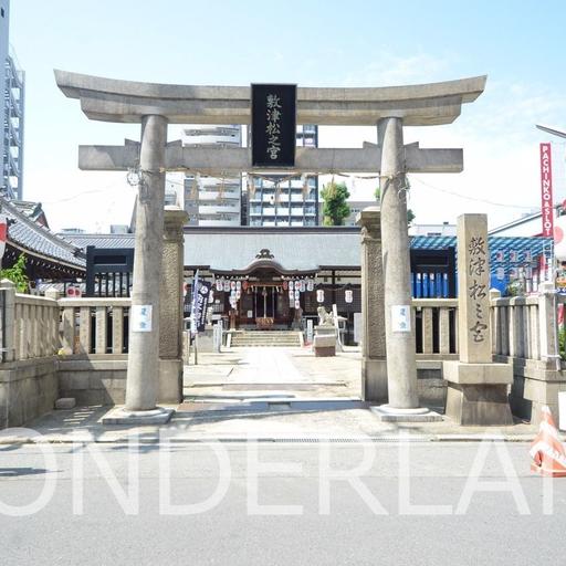 大国主神社 マンションのすぐ前で、バルコニ-からも見えます
