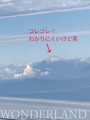 飛行機内から見た富士山
